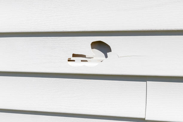 Professional Siding Services in Pymatuning Central, PA